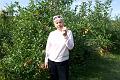 apple 003